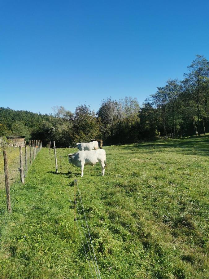 Apartma Baladur Brezovica pri Gradinu Esterno foto